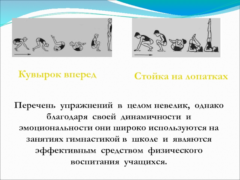 Техника кувырка вперед и назад. Подводящие упражнения для кувырка вперед. Кувырок вперед с разбега. Кувырок назад в стойку на лопатках. Кувырок вперед в стойку на лопатках.