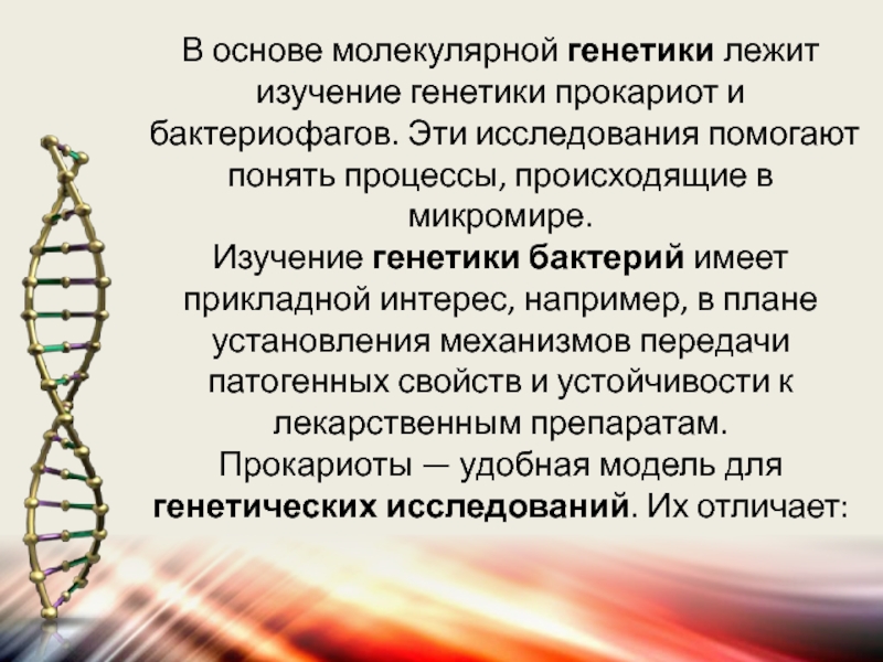 Молекулярно генетическое исследование