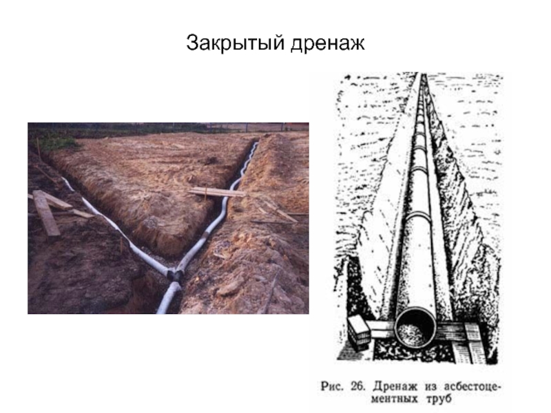 Осушительные мелиорации презентация