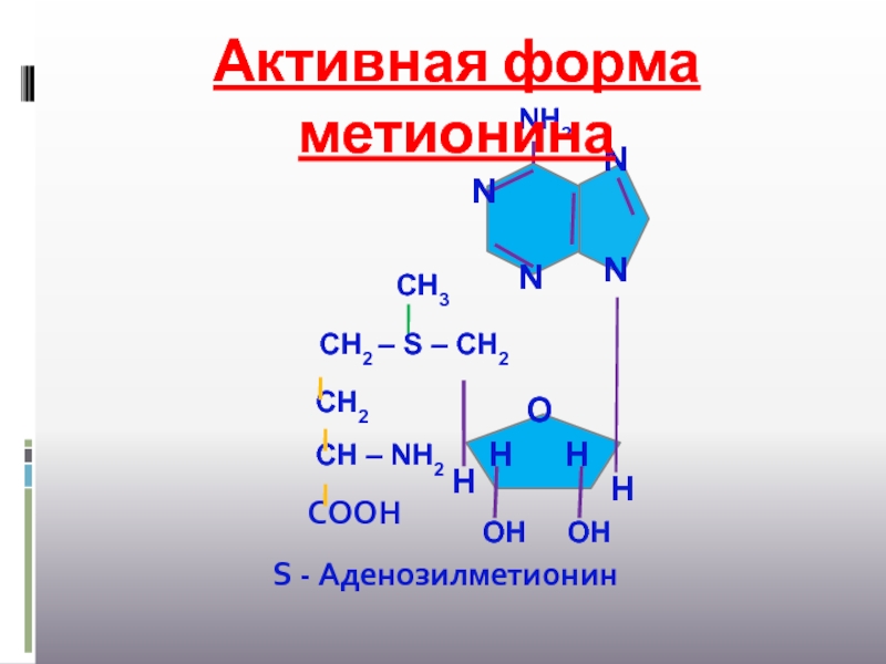 Активная форма в 5