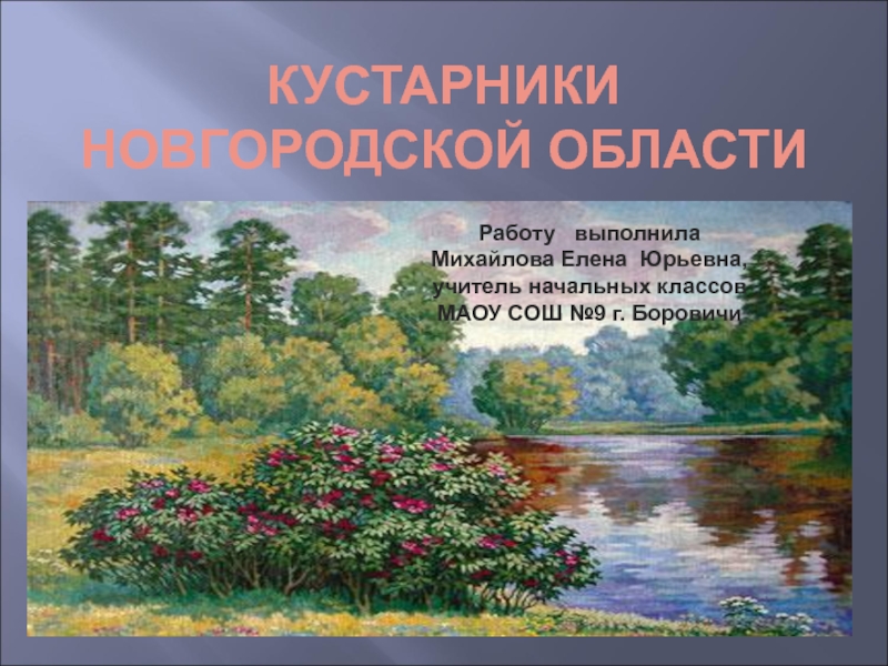 Кустарники Новгородской области