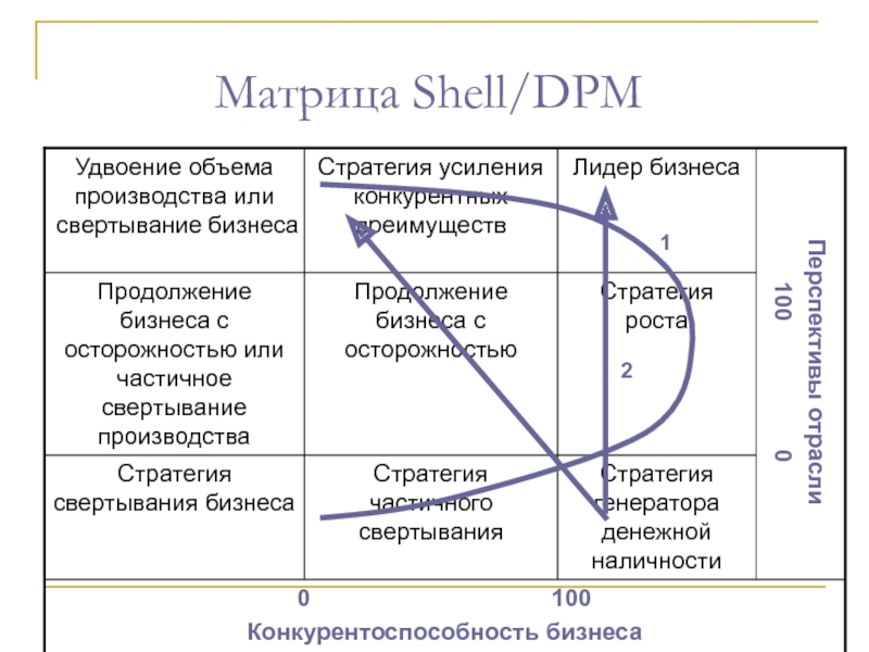Матрица содержащая информацию. Матрица Шелл ДПМ. Графически модель Shell/DPM.. Матрица направленной политики компании Шелл. Критерии стратегического выбора матрицы Shell/DPM.