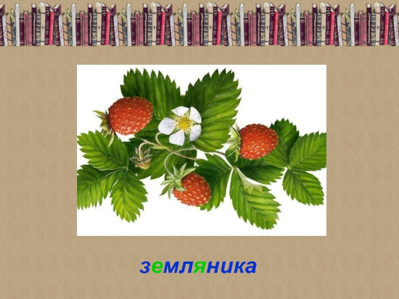 Объясни по рисунку что обозначают записи 2 класс цветы