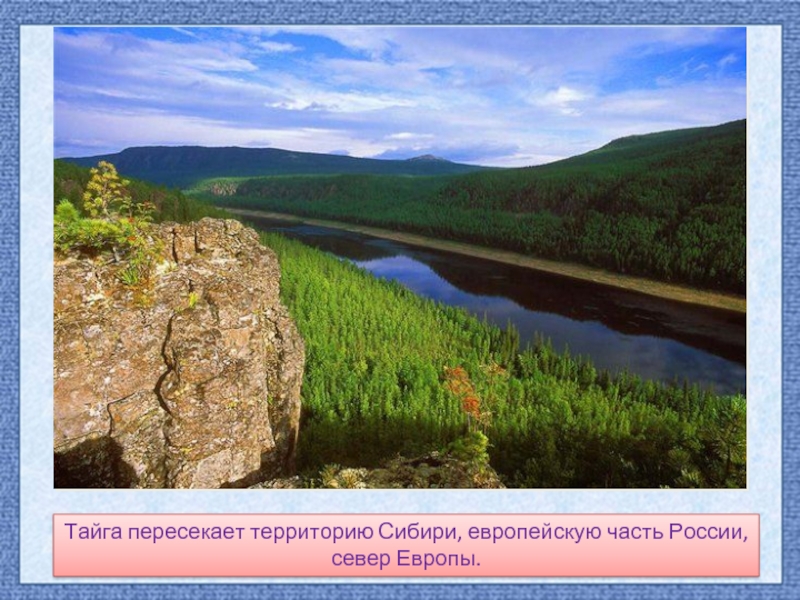 Тайга пересекает территорию Сибири, европейскую часть России, север Европы.