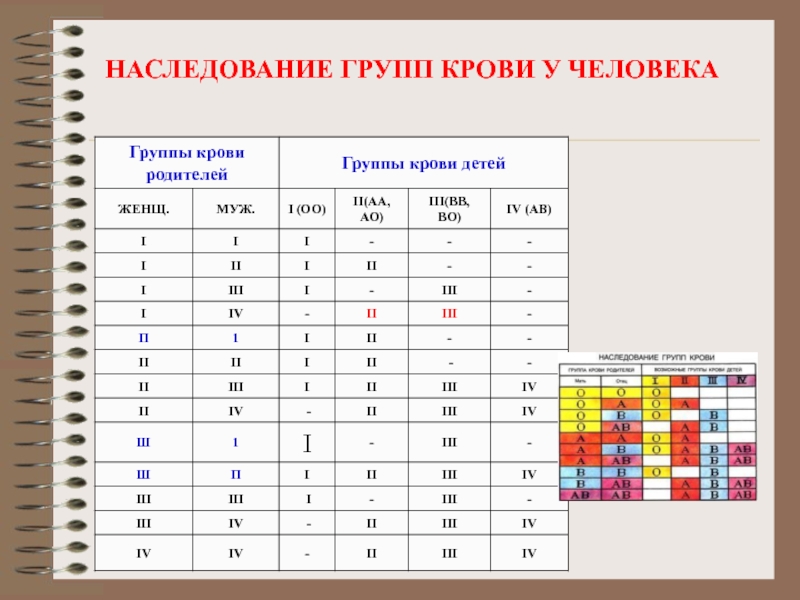 Проект наследование групп крови