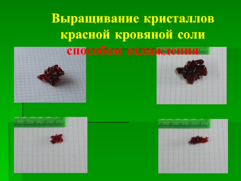 Выращивание кристаллов красной кровяной соли способом охлаждения