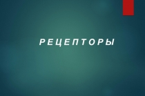 Р Е Ц Е П Т О Р Ы