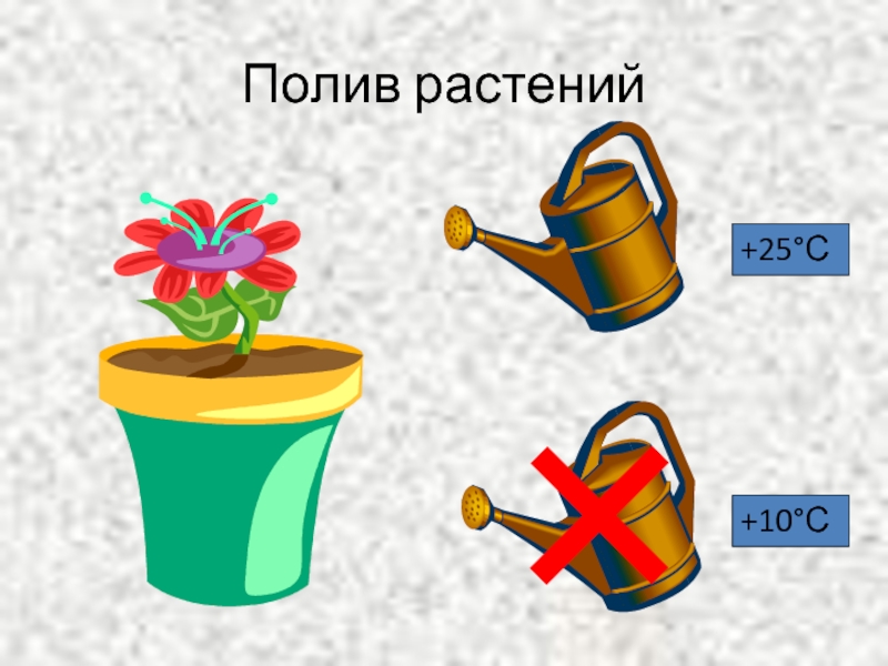Полив растений+25°С+10°С