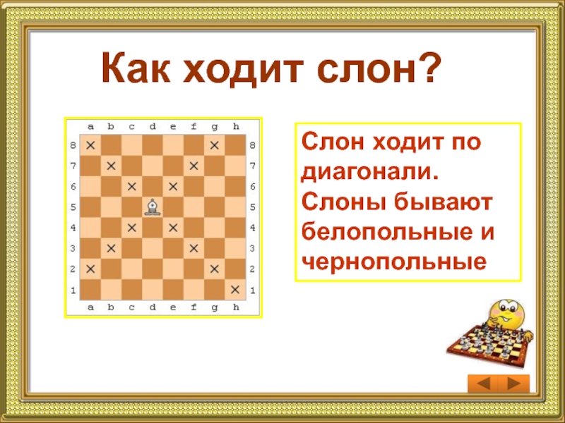 Знакомство С Шахматной Доской 1 Класс Презентация