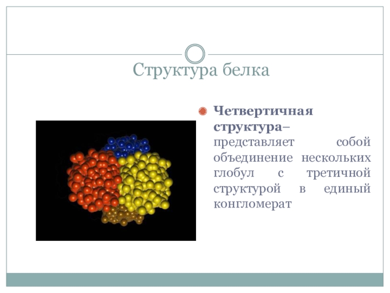 Тест белки 10 класс химия. Четвертичная структура белка представляет собой обединен. Четвертичная структура белка конгломерат. Структура нескольких Глобул. Третичная структура белка глобула.