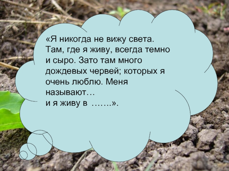 Где живет тайна. Презентация где я живу. Презентация где я живу 4 класс. Там где сыро и темно!. Где обитают сочные малышки.