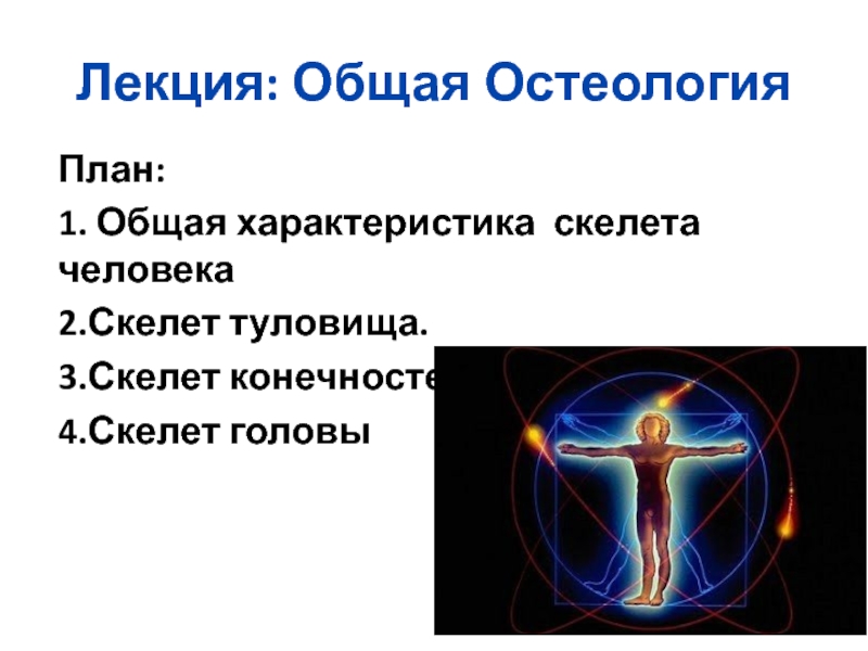 Презентация Лекция: Общая Остеология