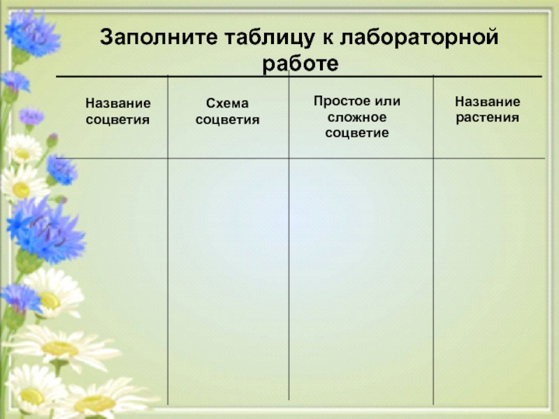 Лабораторная работа по теме соцветия рассмотрите картинки и заполните таблицу