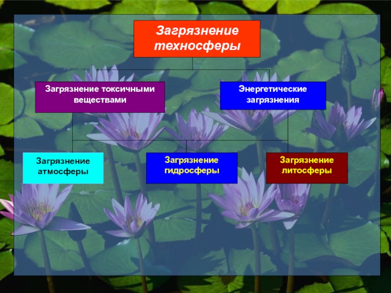 Загрязнение литосферы презентация