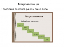 Макроэволюция