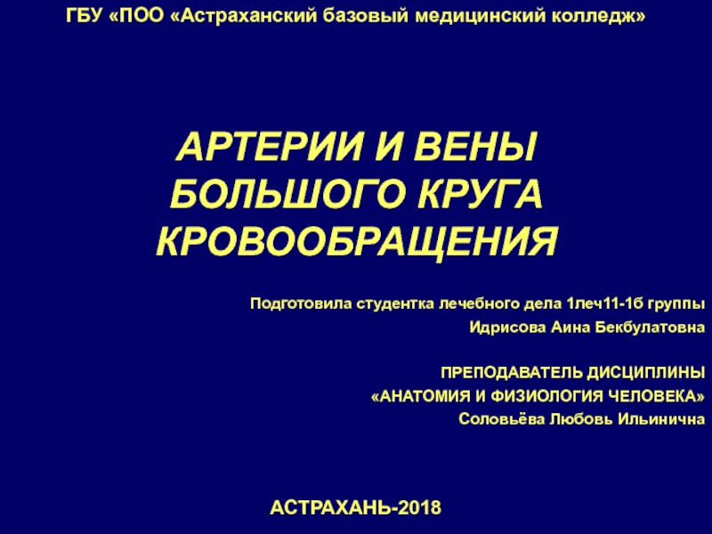 Презентация Артерии и вены большого круга кровообращения