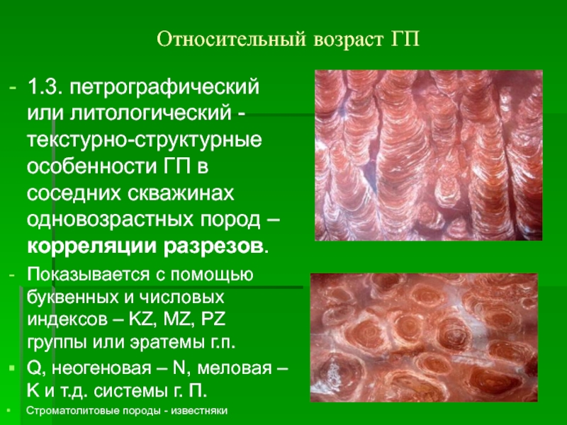 Методы относительного возраста. Относительный Возраст пород. Относительный Возраст горных пород. Абсолютный Возраст горных пород это. Литологический метод Возраст пород.