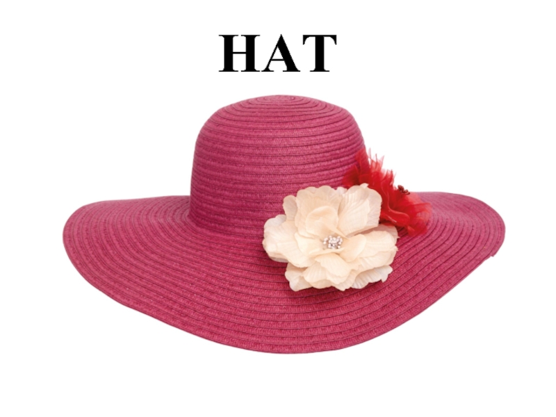 Ladies Smart hats. Hatlady. Lady hat PNG. A Ladies' hat Box.