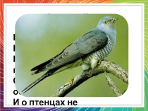 Кто эта птица? Никогда Не строит для себя гнезда, Соседкам яйца оставляет
И о