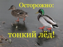тонкий лёд!