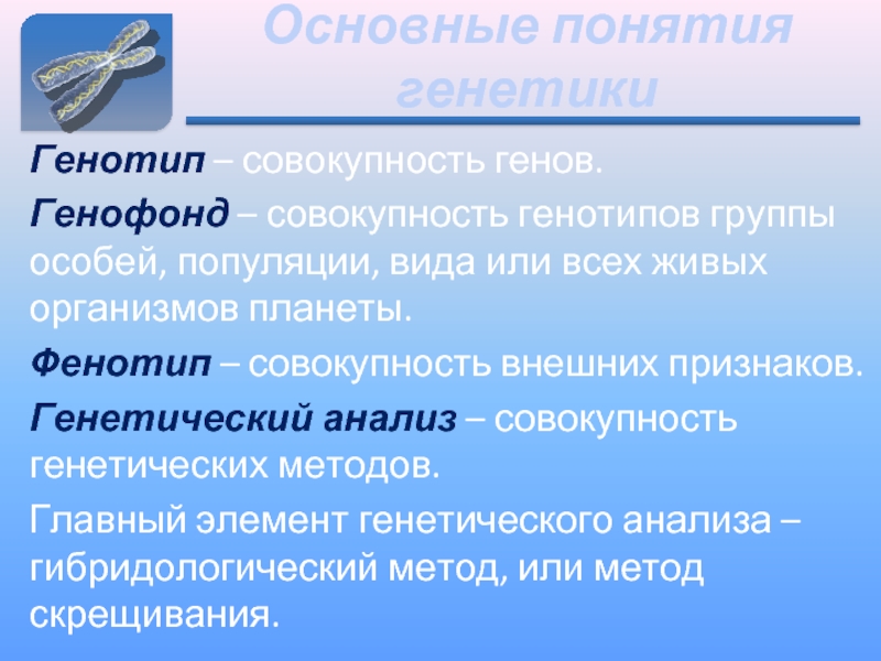 Генофонд и мое будущее почему это важно проект