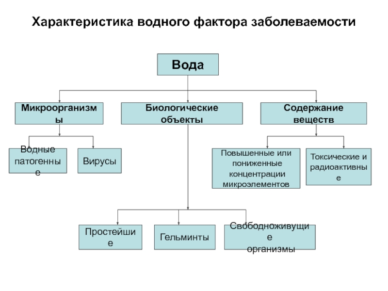 Водный фактор