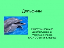Дельфины 2 класс