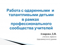 Программа  профессионального сообщества учителей по работе с одаренными детьми