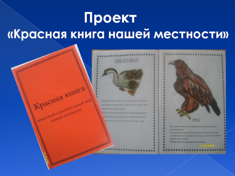 Паспорт проекта красная книга