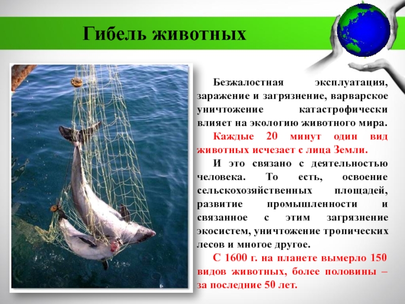 МБДОУ Детский сад №11 комбинированного вида Катюша г. Воркуты
Экологическая Гибель животныхБезжалостная эксплуатация, заражение и загрязнение, варварское уничтожение катастрофически влияет на Гибель животныхБезжалостная эксплуатация, заражение и загрязнение, варварское уничтожение катастрофически влияет на экологию животного мира. Каждые 20 минут