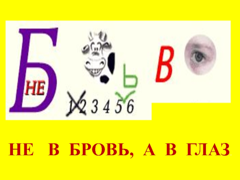 Не в бровь а в глаз. Пословица не в бровь а в глаз.