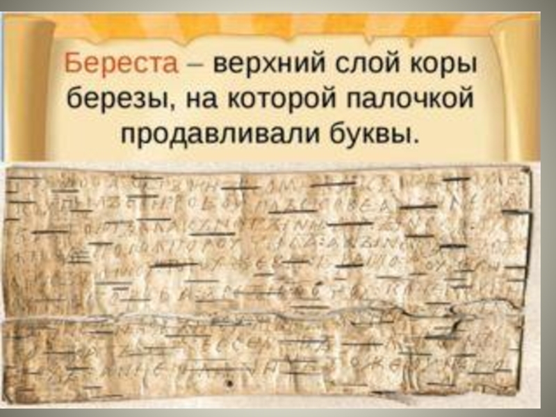 Верхний слой березовой коры 2 класс. Верхний слой коры береста. Берёста верхний слой коры берёзы. Верхний слой бересты. Берёста – верхний слой березовой коры..