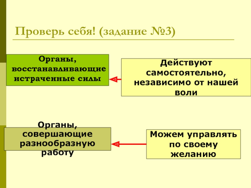 Сила орган. Органы восстанавливающие истраченные силы. Управляются независимо от нашей воли. Органы которые действуют самостоятельно независимо от нашего года.