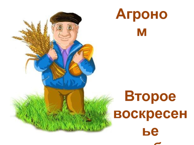 Агроном картинка для детей