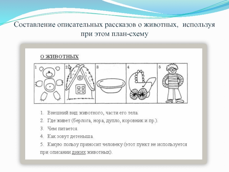 Составление рассказа по плану