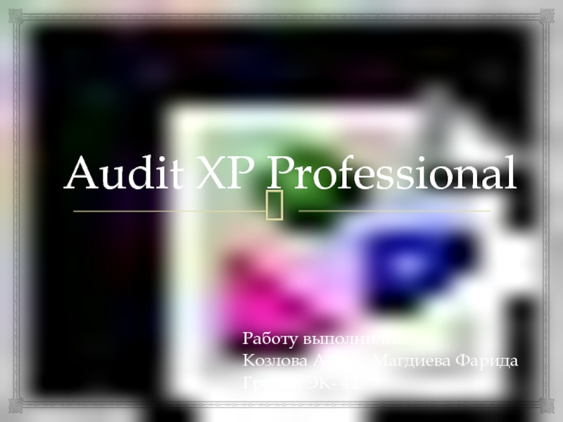Презентация Audit XP Professional
