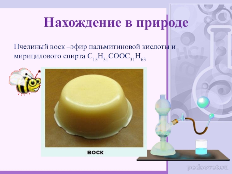 Воски сложные эфиры. Воски нахождение в природе. Нахождение в природе воска пчелиный воск. Нахождение эфиров в природе. Пальмитиновая кислота нахождение в природе.