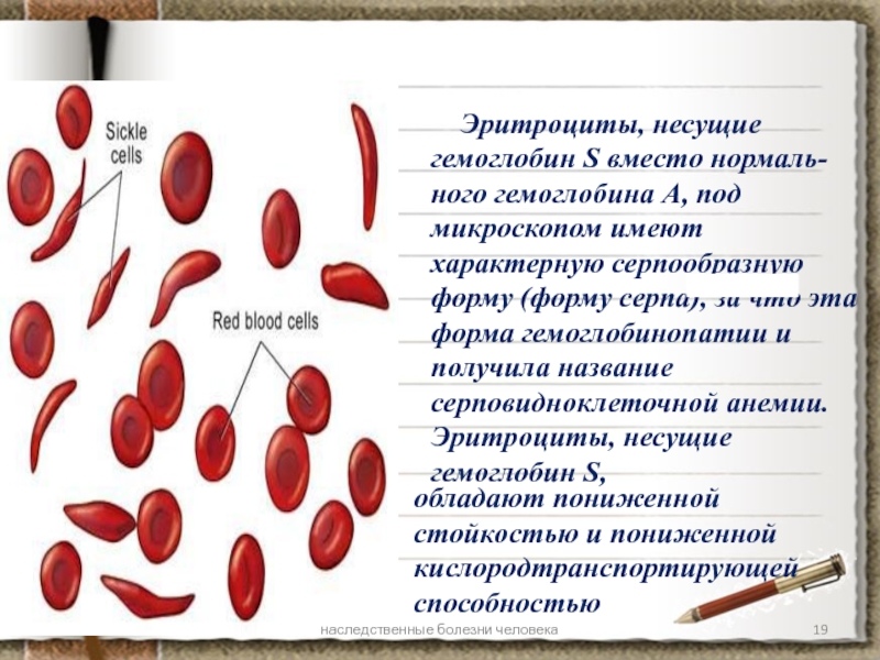 Наследственные заболевания крови презентация