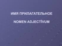 ИМЯ ПРИЛАГАТЕЛЬНОЕ NOMEN ADJECT Ī VUM