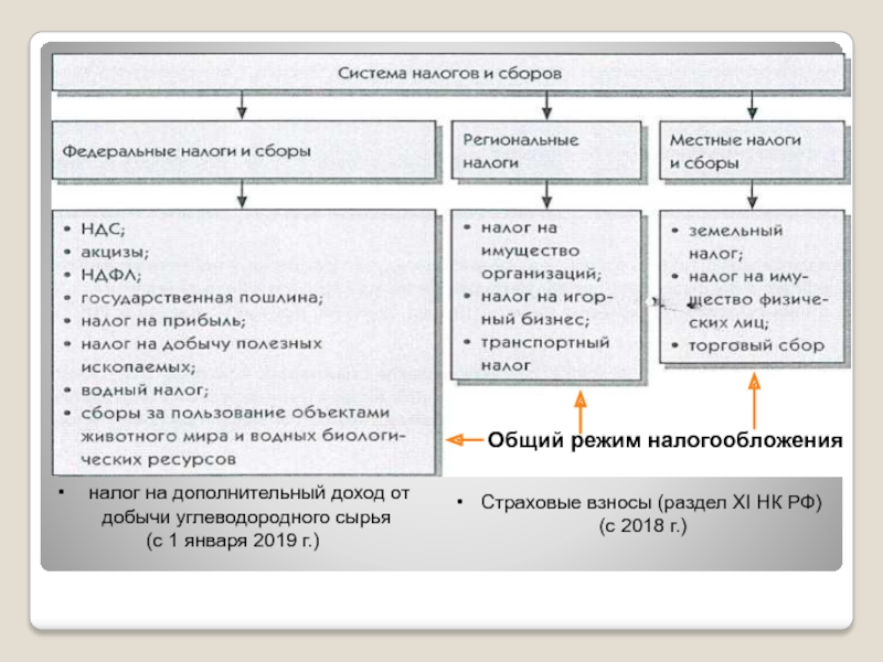 Налоговый кодекс региональный инвестиционный проект