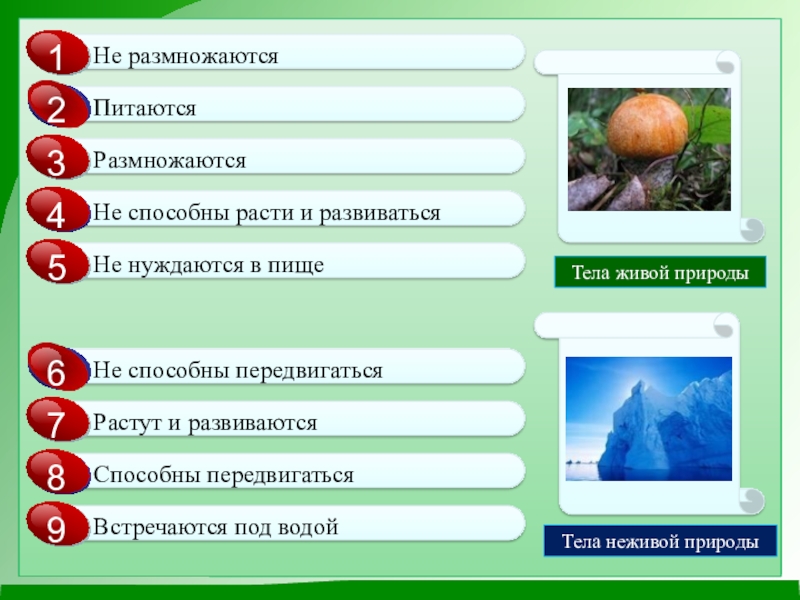 Природные тела. Природные тела и явления. Природные тела и природные явления. Тела живой природы растут и развиваются. Тела неживой природы тела живой природы искусственные тела.