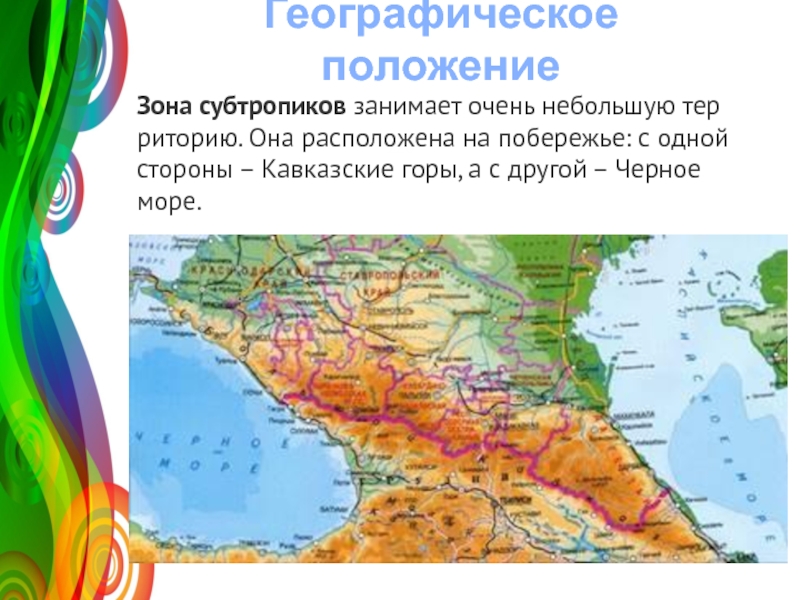 Субтропики какая природная зона. Географическое положение субтропиков в России. Географическое положение субтропической зоны России. Географическое положение субтропиков. Зона субтропиков в России располагается.