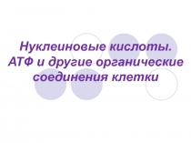 Нуклеиновые кислоты. АТФ и другие органические соединения клетки