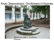 Клас Земноводні. Особливості будови