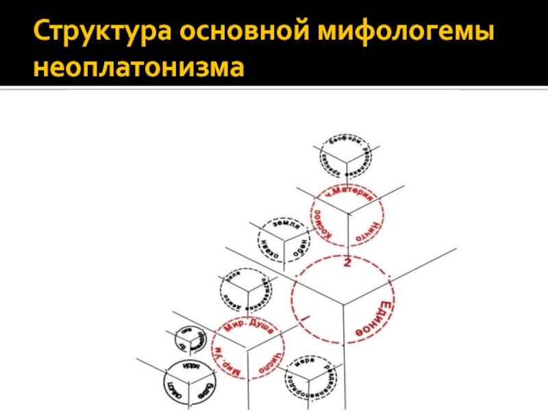 Структура 8