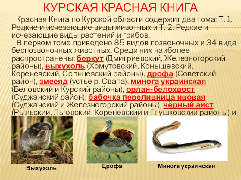 Растения и животные красной книги курской области