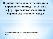 Юридическая ответственность за нарушение законодательства в сфере