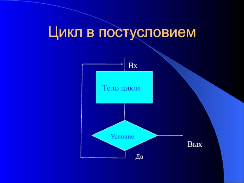 Цикл организма