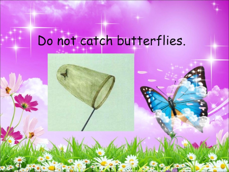 Do not catch butterflies.