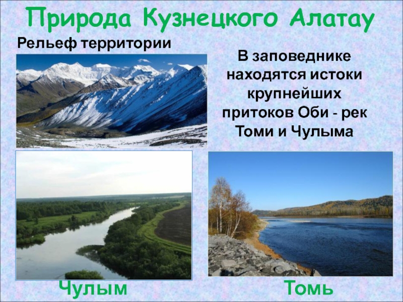 Природа кузбасса презентация